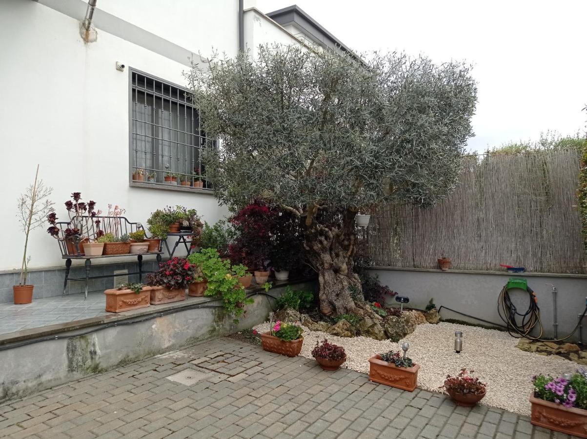Villa Sogno Castel Fusano Exterior photo